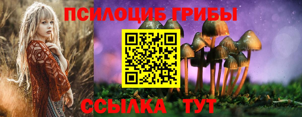 Псилоцибиновые грибы ЛСД Губкин